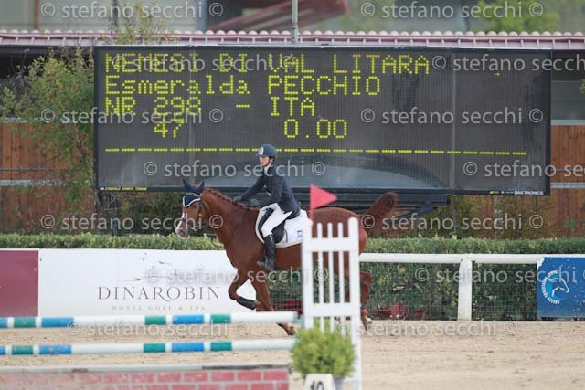 PECCHIO_NEMESI_GIO CAV 2011_SS3_8731.jpg